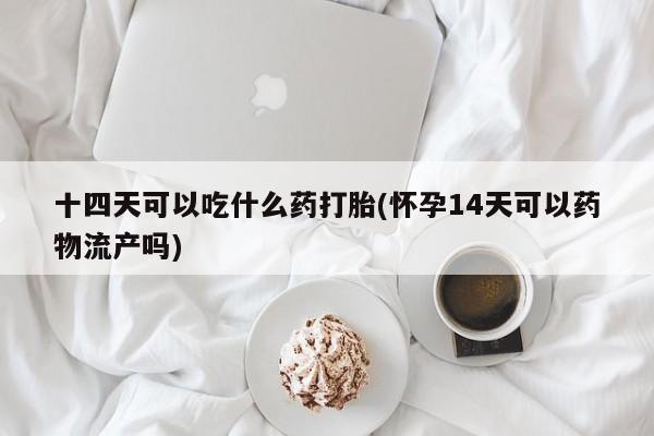 药流药网上购买十四天可以吃什么药打胎(怀孕14天可以药物流产吗)